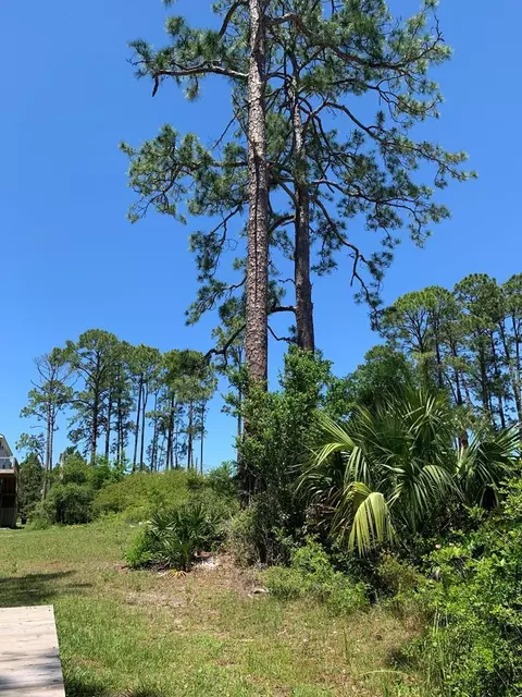 519 Shellys Loop Rd, Carrabelle, FL 32322 photo 8