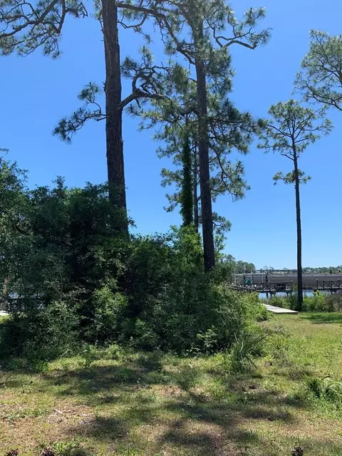 519 Shellys Loop Rd, Carrabelle, FL 32322 photo 10