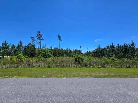 110 Wide Water Cir, Wewahitchka, FL 32465