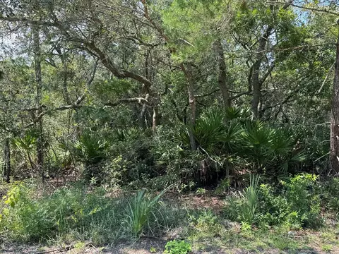 119 Iowa St, Lanark Village, FL 32323 photo 1