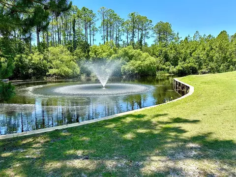 View/Area - 344 Royal Tern Ct, Carrabelle, FL 32322 photo 6 of 9