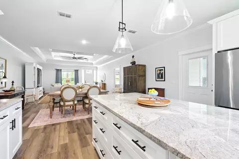 Other - 344 Royal Tern Ct, Carrabelle, FL 32322 photo 1 of 13