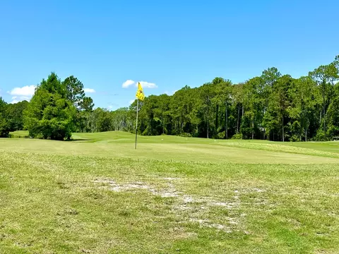 Other - 344 Royal Tern Ct, Carrabelle, FL 32322 photo 10 of 13