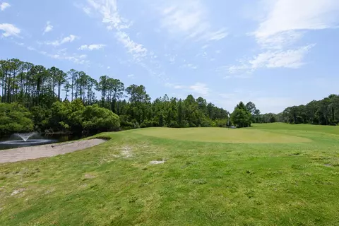 Other - 344 Royal Tern Ct, Carrabelle, FL 32322 photo 13 of 13