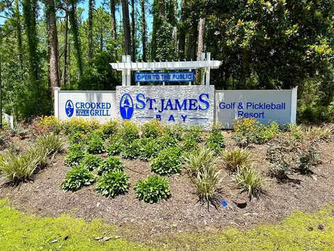 View/Area - 344 Royal Tern Ct, Carrabelle, FL 32322 photo 9 of 9