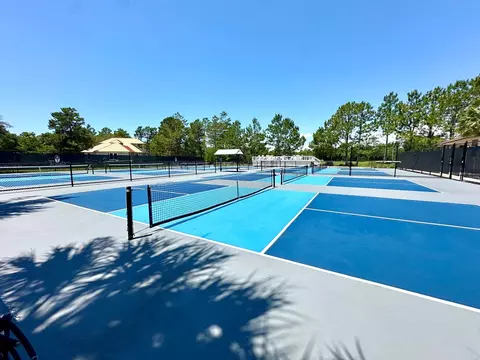View/Area - 344 Royal Tern Ct, Carrabelle, FL 32322 photo 7 of 9