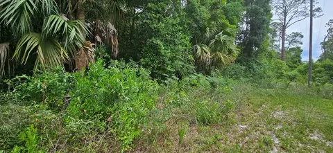 805 3rd St, Carrabelle, FL 32322 photo 5
