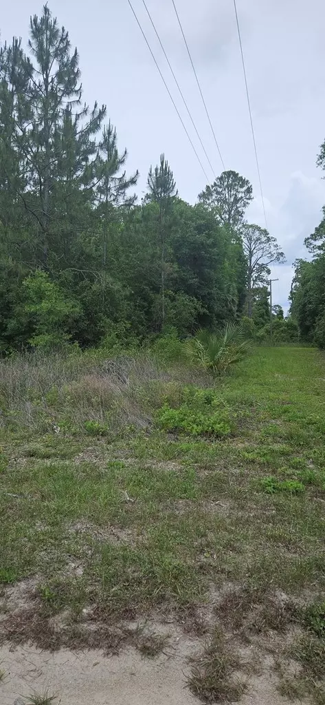 805 3rd St, Carrabelle, FL 32322 photo 7