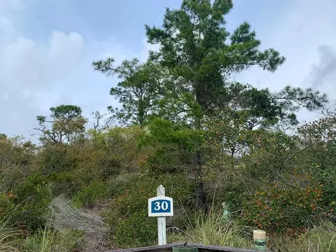 143 Cord Grass Way, Cape San Blas, FL 32456