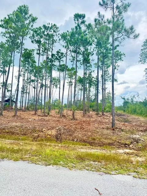 lot16 Live Oak Dr, Wewahitchka, FL 32465
