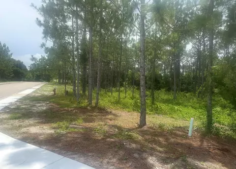 115 Plover Ct, Carrabelle, FL 32323 photo 8