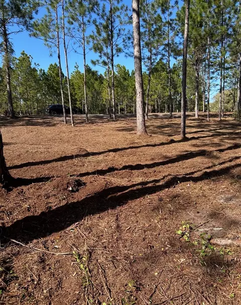 115 Plover Ct, Carrabelle, FL 32323 photo 4