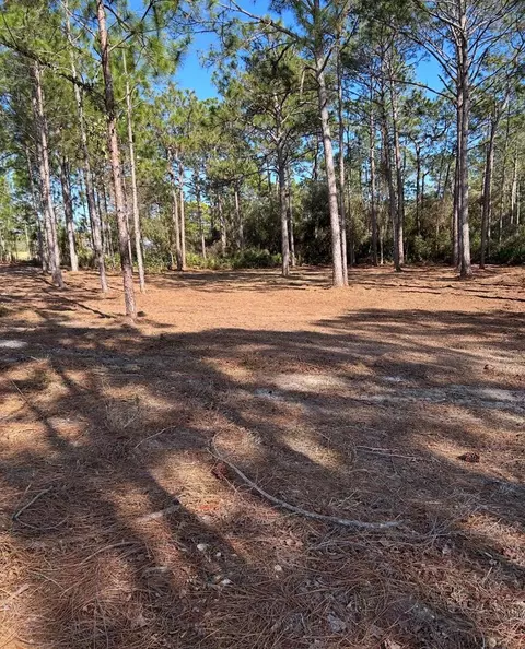 115 Plover Ct, Carrabelle, FL 32323