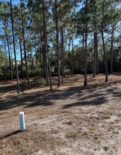 115 Plover Ct, Carrabelle, FL 32323 photo 6