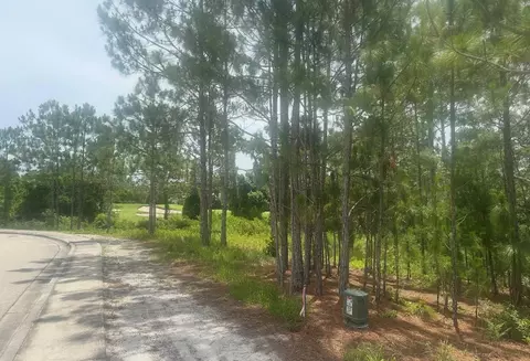 115 Plover Ct, Carrabelle, FL 32323 photo 7