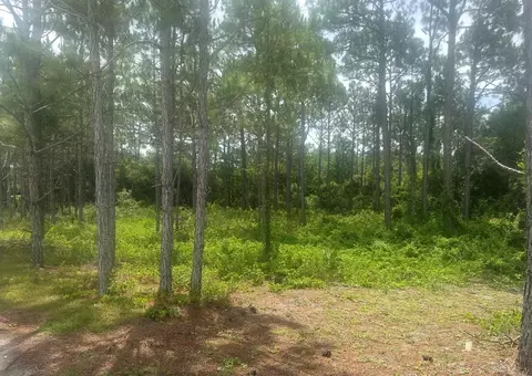 115 Plover Ct, Carrabelle, FL 32323 photo 16