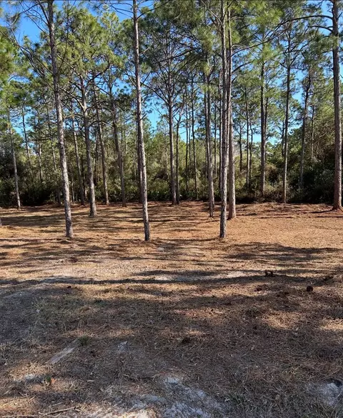 115 Plover Ct, Carrabelle, FL 32323 photo 3