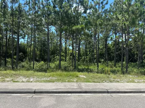 115 Plover Ct, Carrabelle, FL 32323 photo 2