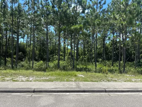 115 Plover Ct, Carrabelle, FL 32323 photo 17