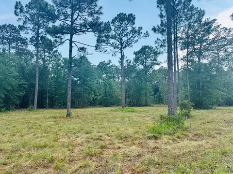 171 Skipper Rd, Carrabelle, FL 32322 photo 8