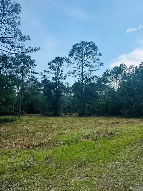 171 Skipper Rd, Carrabelle, FL 32322 photo 4