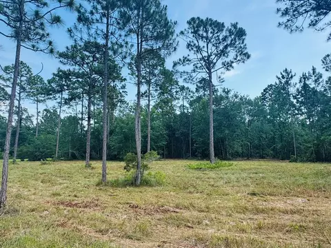 171 Skipper Rd, Carrabelle, FL 32322 photo 6