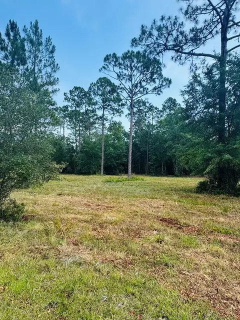 171 Skipper Rd, Carrabelle, FL 32322 photo 5