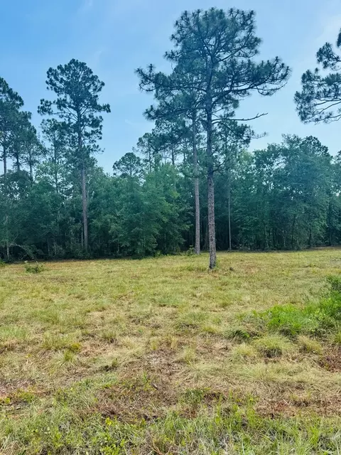 171 Skipper Rd, Carrabelle, FL 32322 photo 7