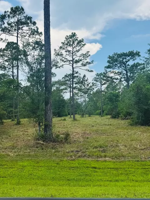 171 Skipper Rd, Carrabelle, FL 32322 photo 10