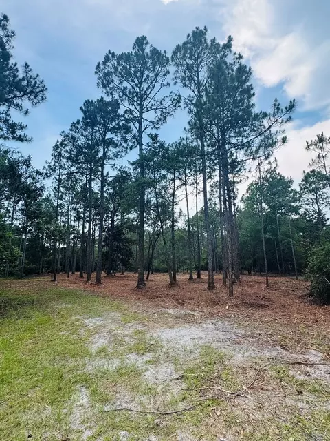 171 Skipper Rd, Carrabelle, FL 32322 photo 9