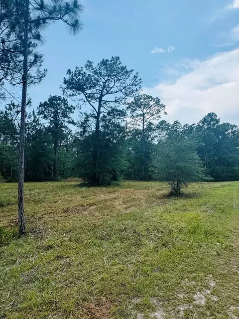 171 Skipper Rd, Carrabelle, FL 32322 photo 3