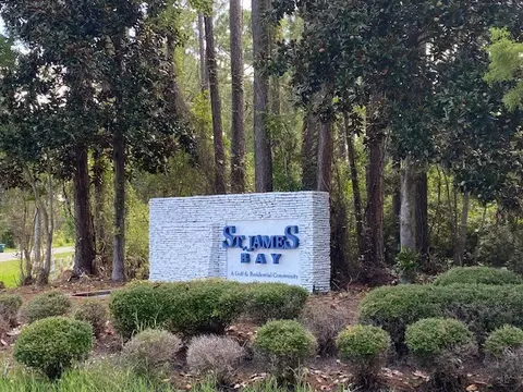 162 Skimmer Dr, Carrabelle, FL 32323 photo 3