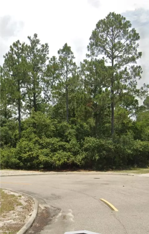 162 Skimmer Dr, Carrabelle, FL 32323