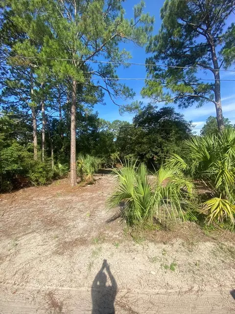 74 Westview St, Panacea, FL 32346