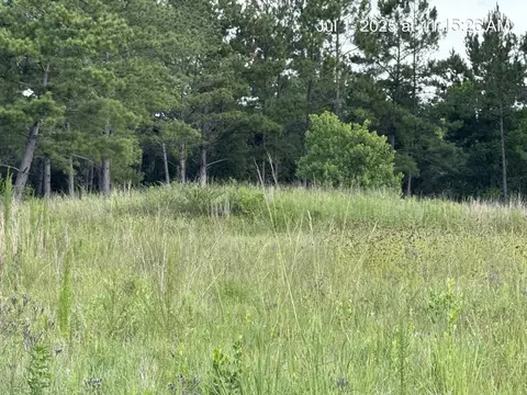 165 Reynolds Rd, Wewahitchka, FL 32465