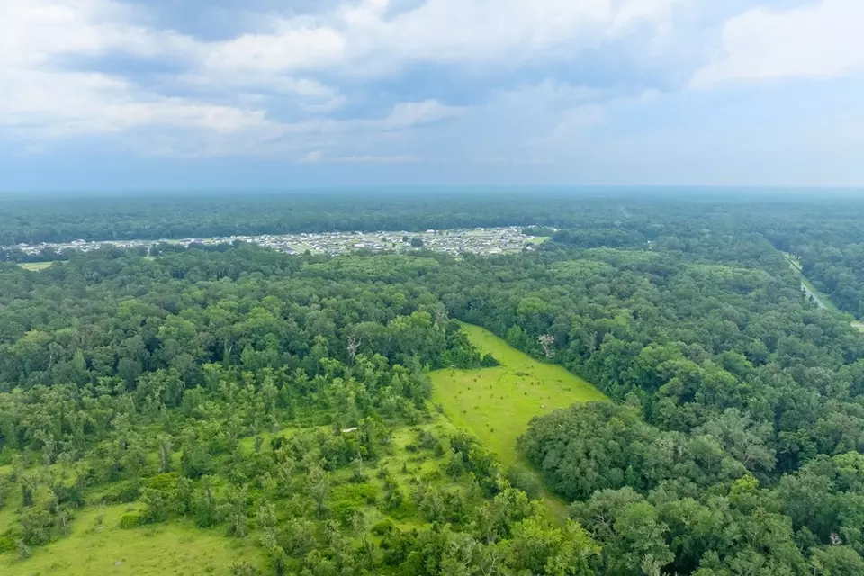  lot60 Revell Rd, Crawfordville, FL 32327 photo 13