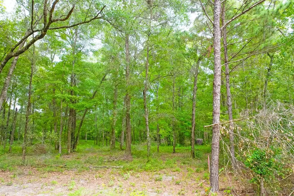  lot60 Revell Rd, Crawfordville, FL 32327 photo 12