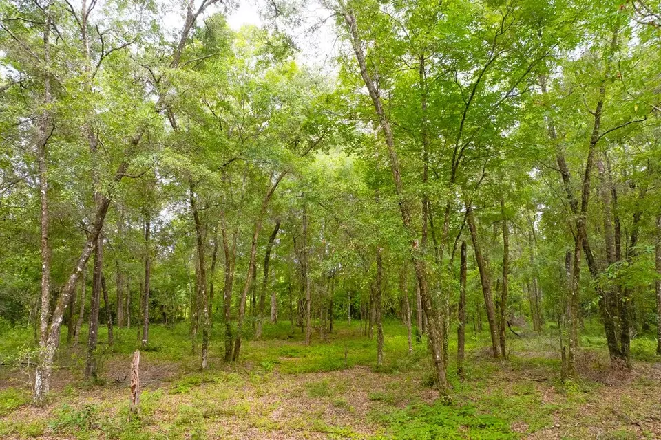  lot60 Revell Rd, Crawfordville, FL 32327 photo 27