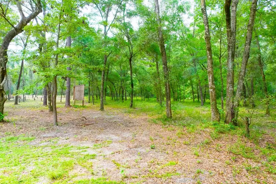  lot60 Revell Rd, Crawfordville, FL 32327 photo 1