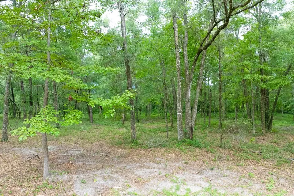  lot60 Revell Rd, Crawfordville, FL 32327 photo 19
