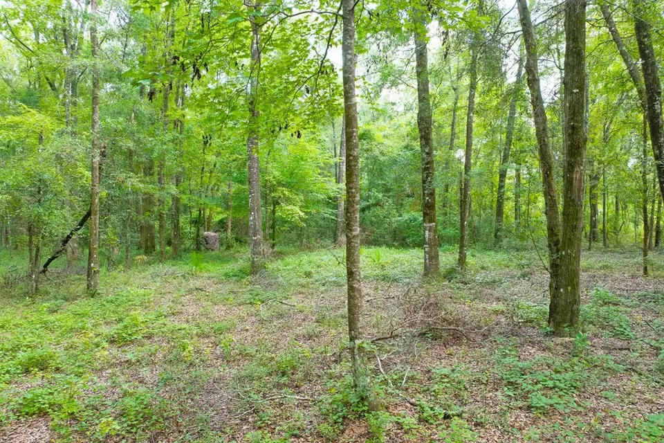 lot60 Revell Rd, Crawfordville, FL 32327 photo 16