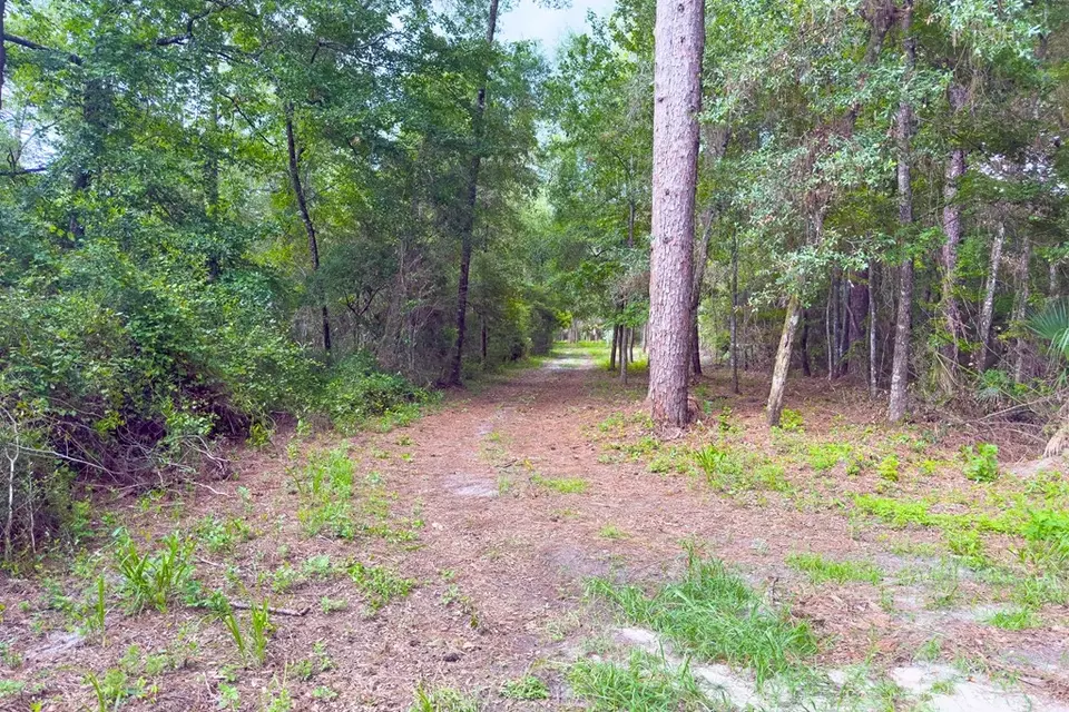  lot60 Revell Rd, Crawfordville, FL 32327 photo 21