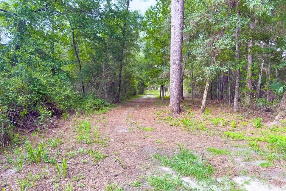  lot60 Revell Rd, Crawfordville, FL 32327 photo 23