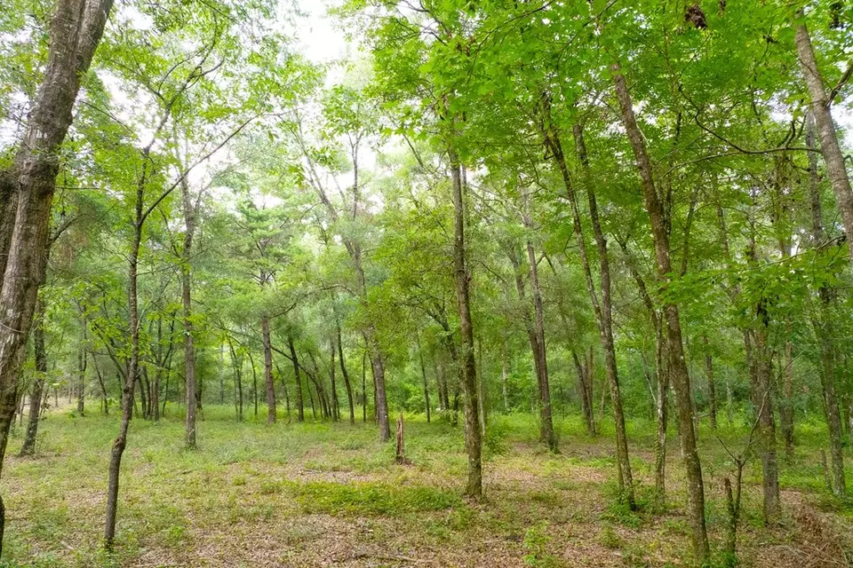  lot60 Revell Rd, Crawfordville, FL 32327 photo 20