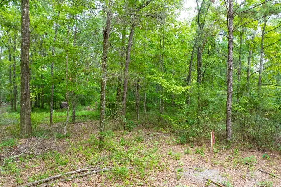 lot60 Revell Rd, Crawfordville, FL 32327 photo 11