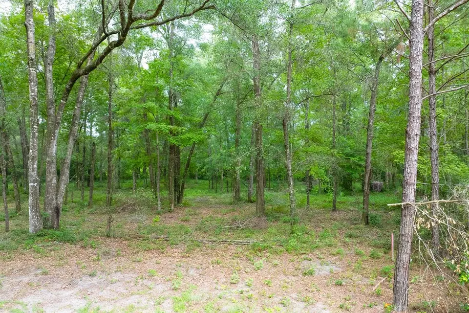  lot60 Revell Rd, Crawfordville, FL 32327 photo 10