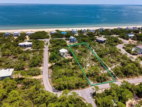 1600 Forsythia Ct, Saint George Island, FL 32328