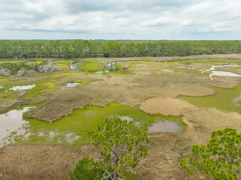 2910 Hidden Beaches Rd, Carrabelle, FL 32322 photo 15