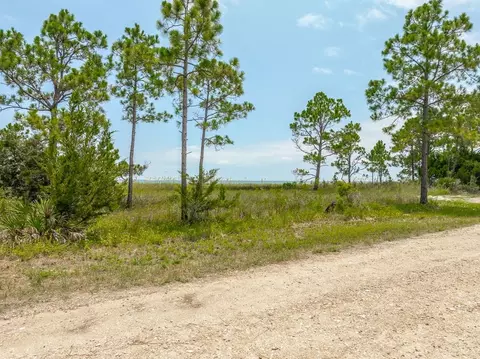 2910 Hidden Beaches Rd, Carrabelle, FL 32322 photo 3