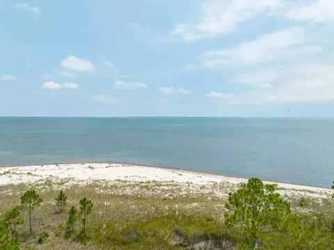 2910 Hidden Beaches Rd, Carrabelle, FL 32322 photo 7